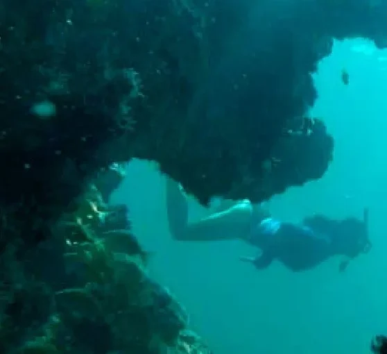 Snorkeling en el Barco Hundido “La Unión”